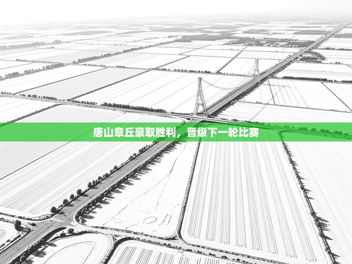 开云体育app登录入口-唐山章丘豪取胜利，晋级下一轮比赛