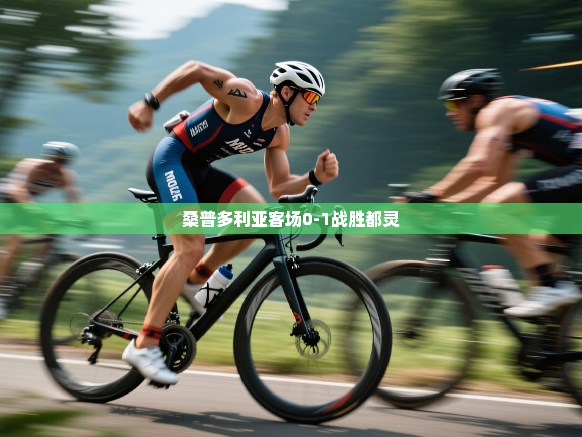 开云体育入口注册-桑普多利亚客场0-1战胜都灵 第1张