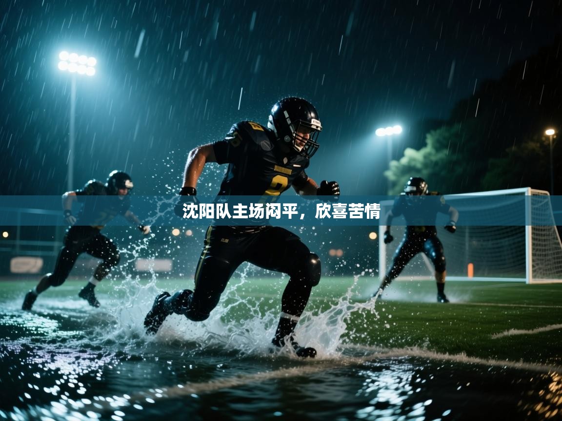 开云体育入口平台-沈阳队主场闷平,欣喜苦情 第1张