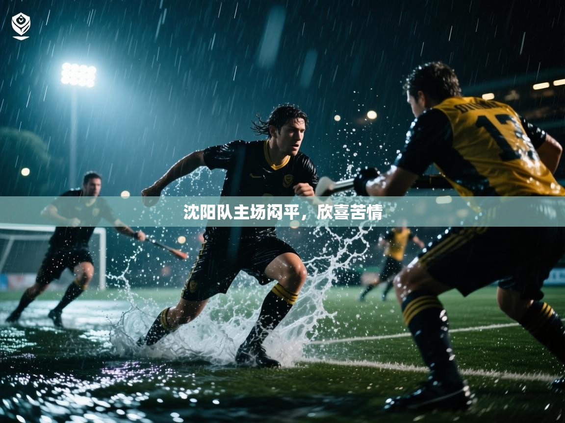 开云体育入口平台-沈阳队主场闷平,欣喜苦情 第2张