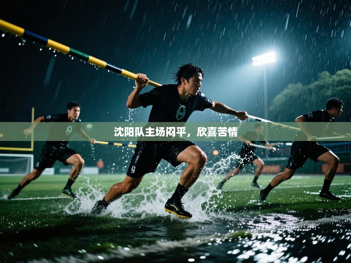 开云体育入口平台-沈阳队主场闷平,欣喜苦情 第4张